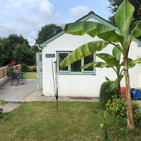 Sycamore Bungalow Perranwell Exteriér fotografie